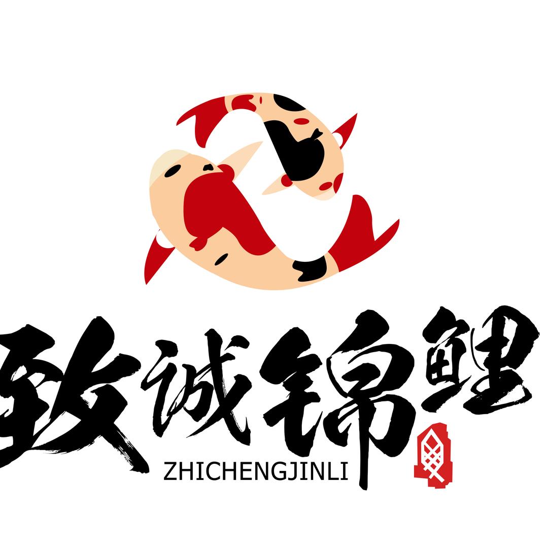 @致诚锦鲤