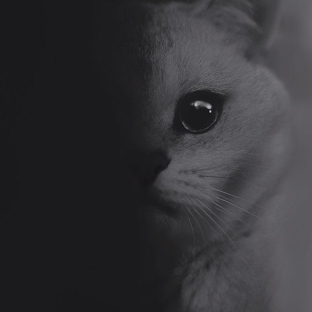 luckyeye