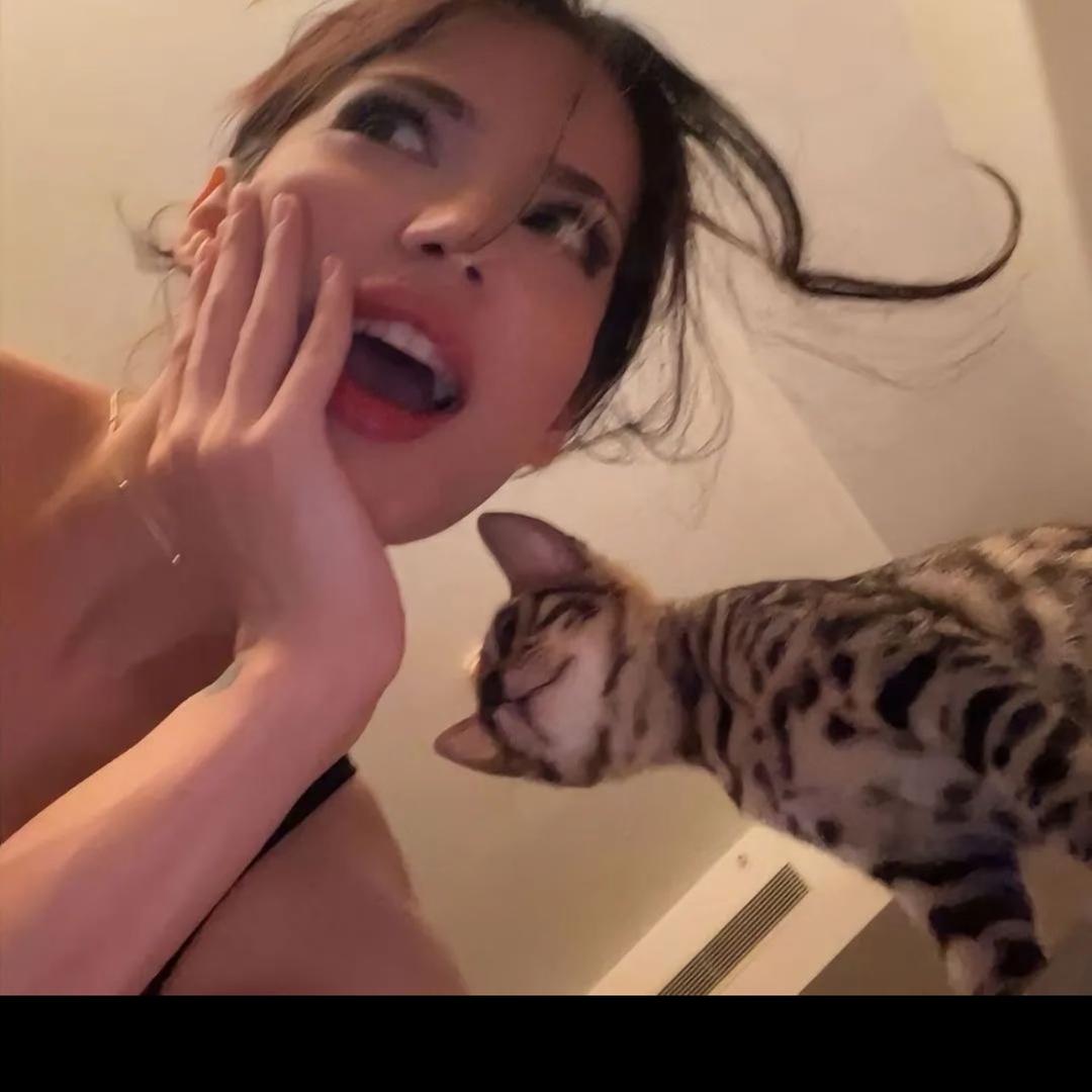 皎皎🐯