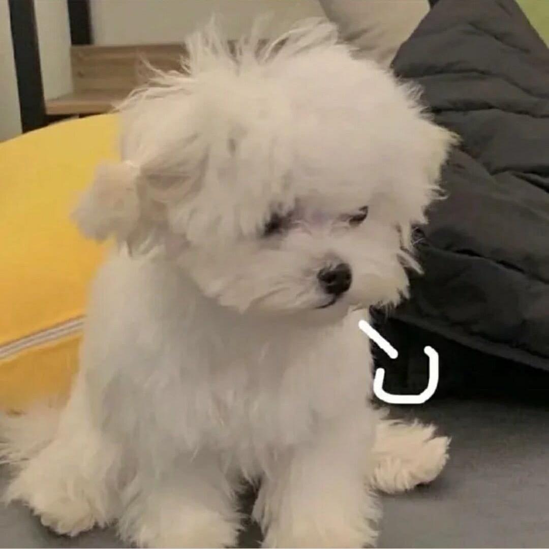 心动