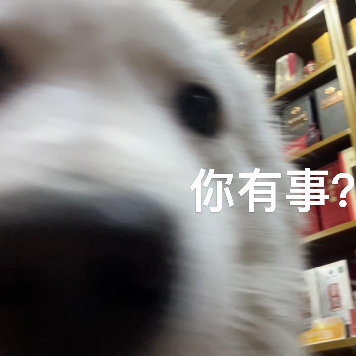 安溪鸣欢火爆辣椒🧨