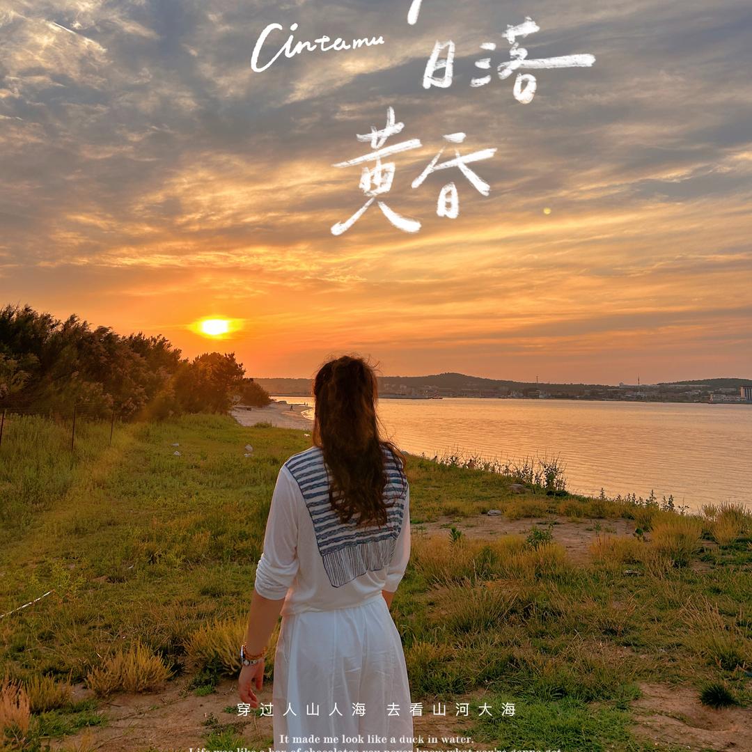 黑白键上的小夜曲