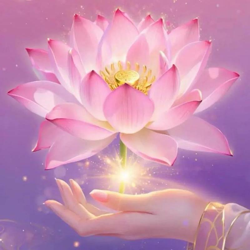 吉祥三宝💗