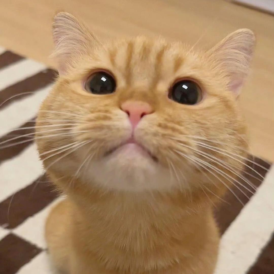 L7sey_（三角洲行动）