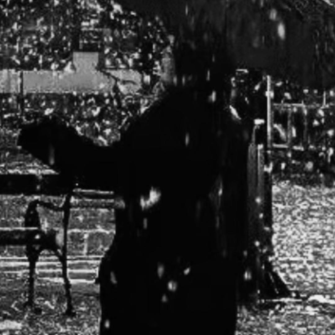 梦醒时间不属于你