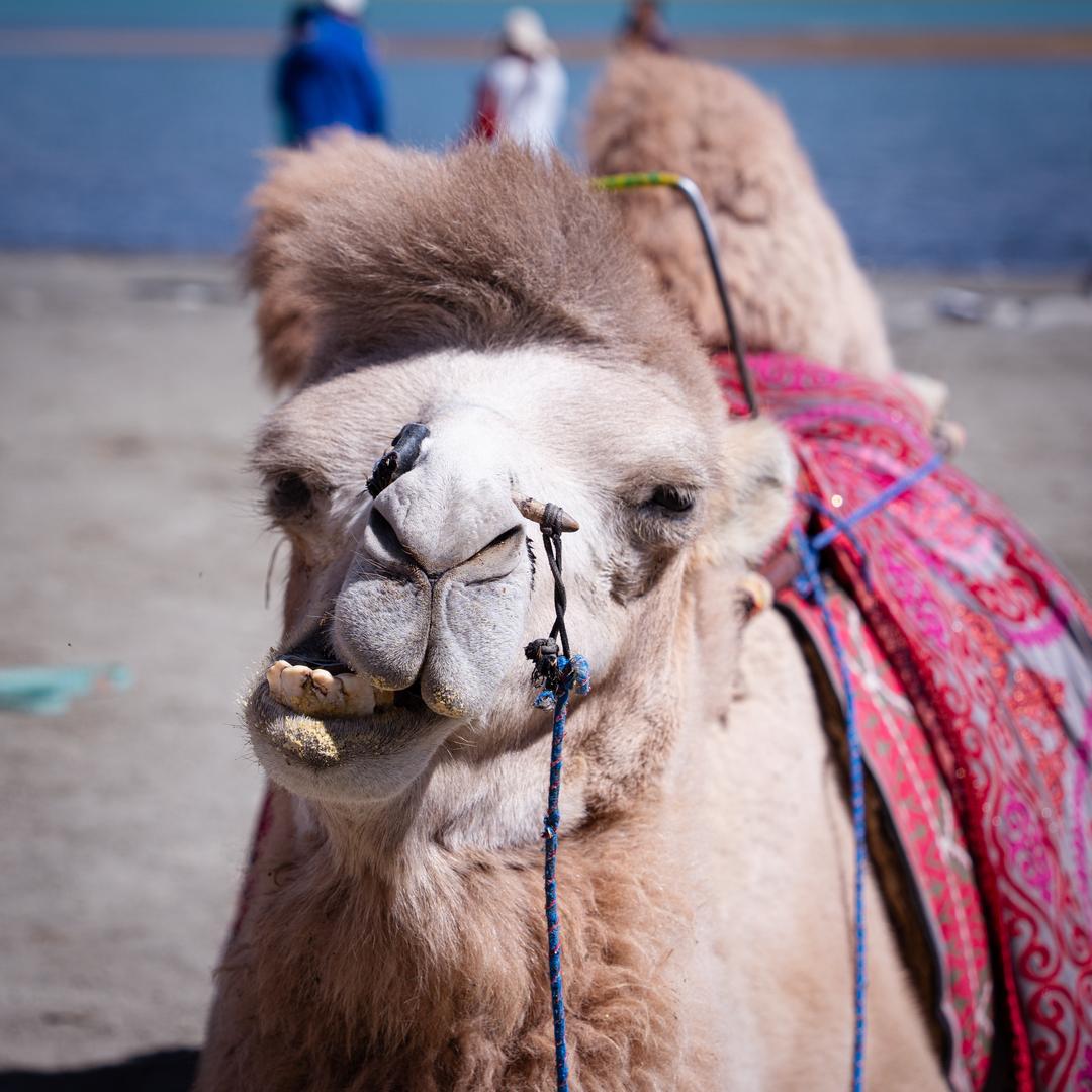 小笼包就该吃甜的