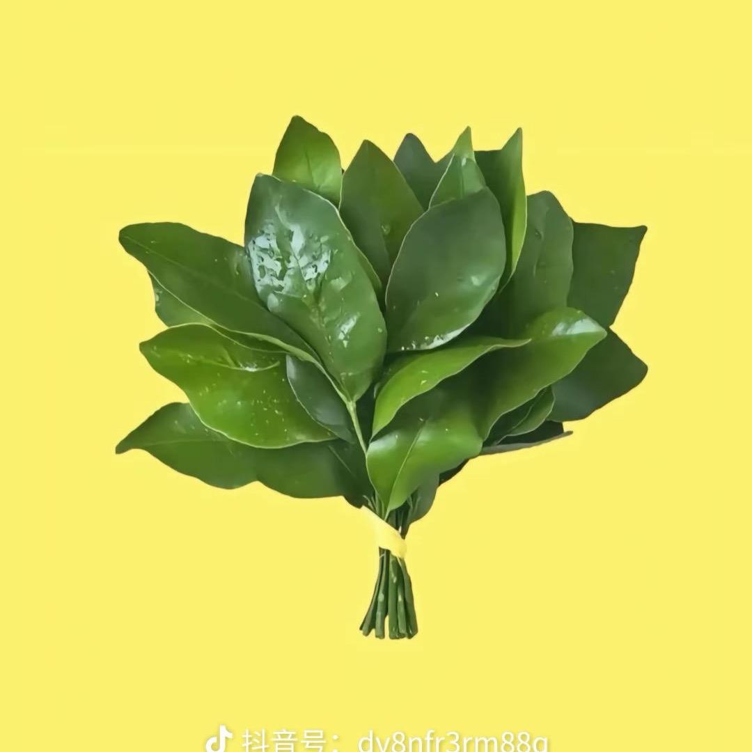 嘎拉拉
