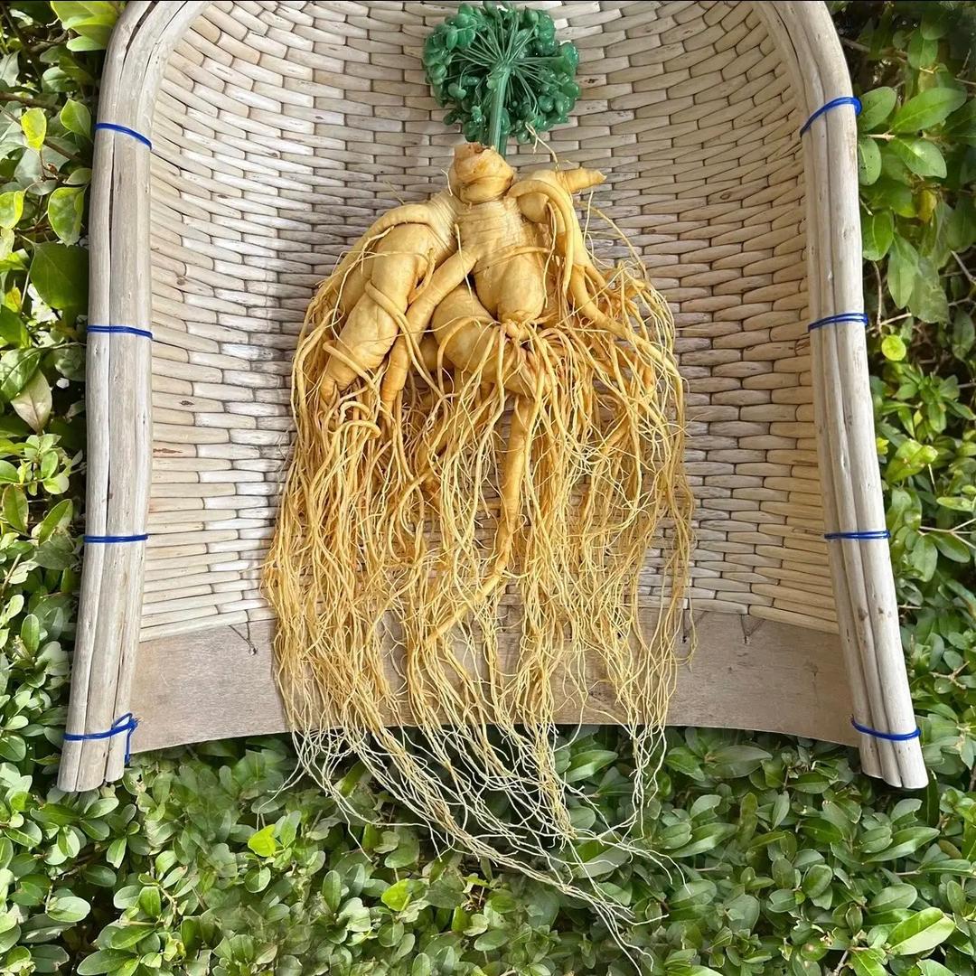 德全鹿业滋补专营店
