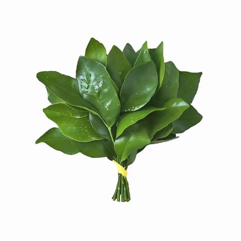 林芯童、