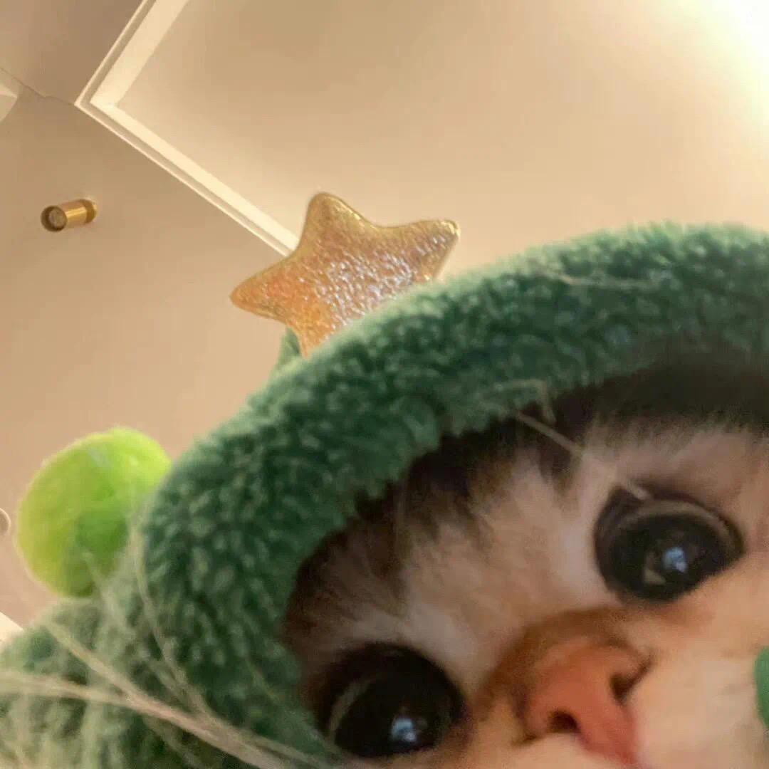爱喝芬达yo