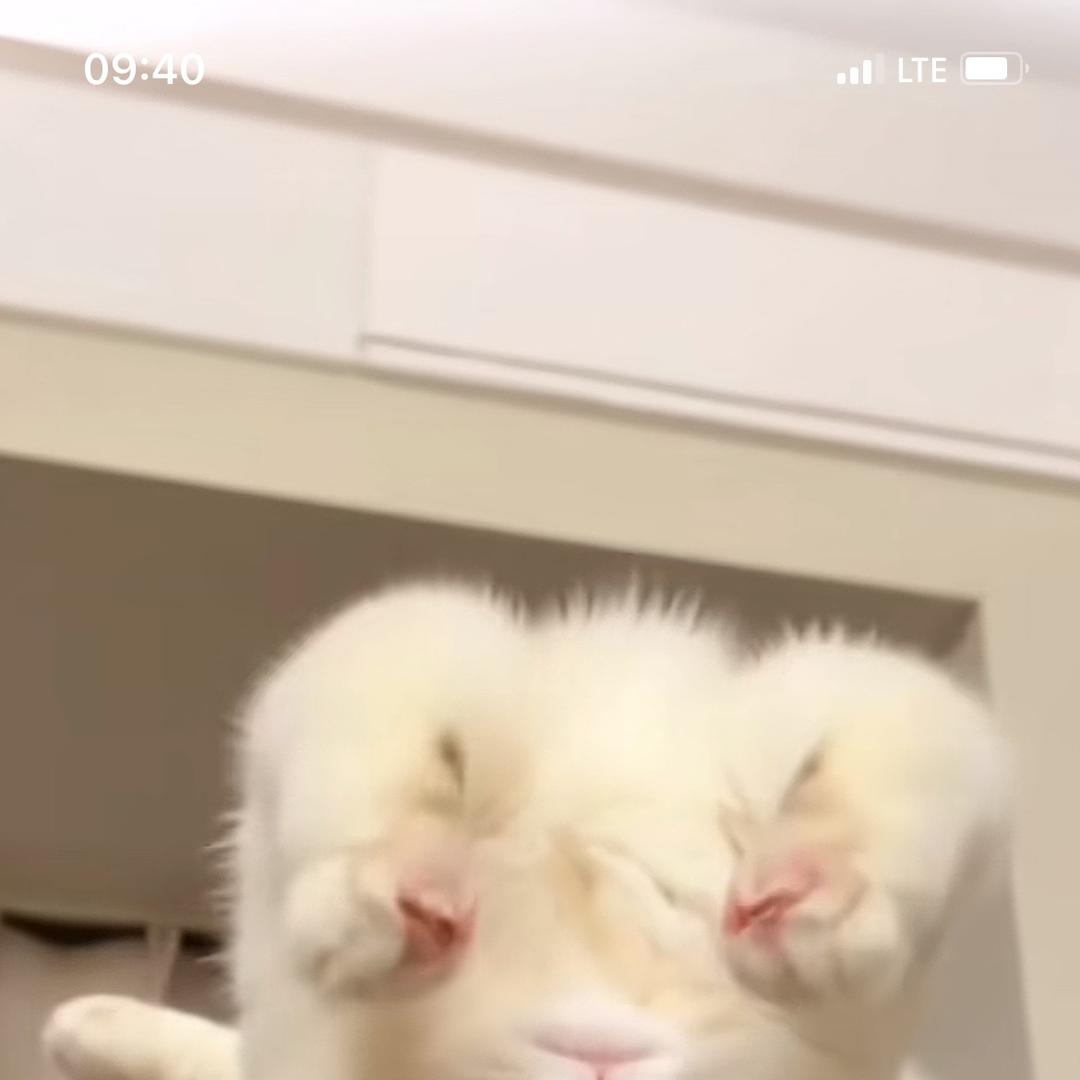 链途供应链创意屋