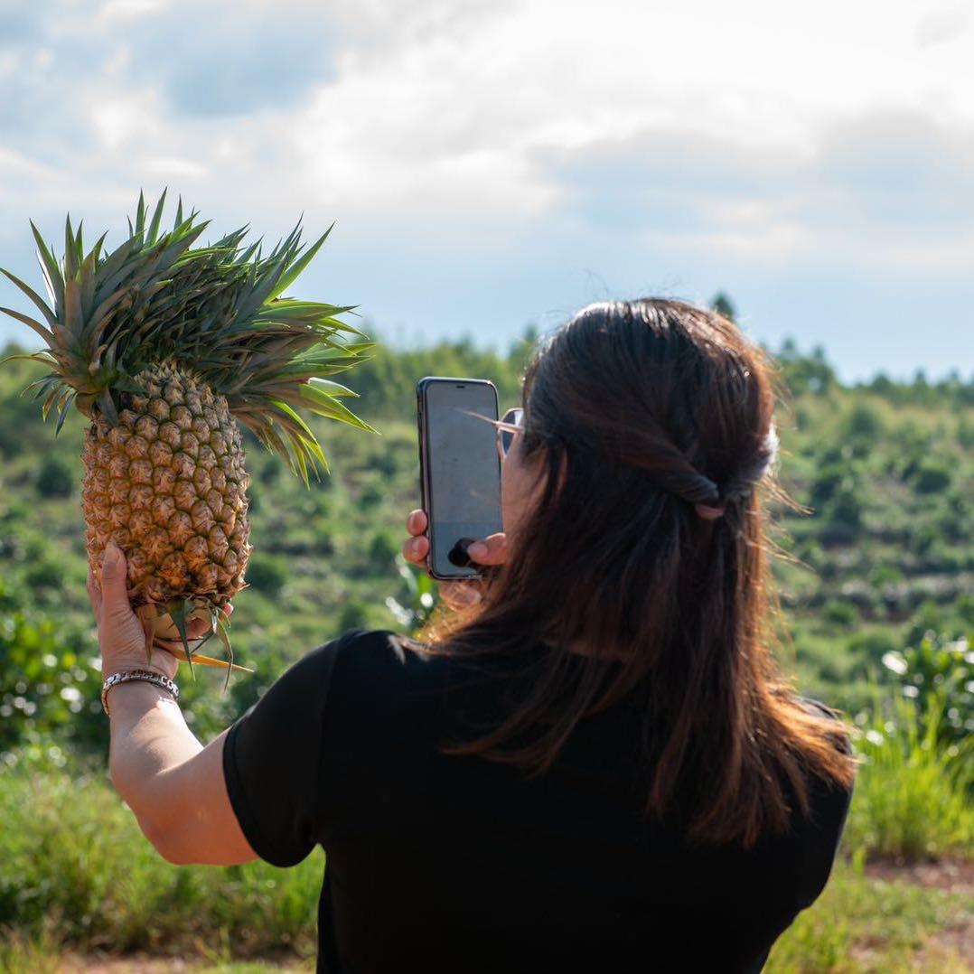 琳琅（海吉星芸上品）