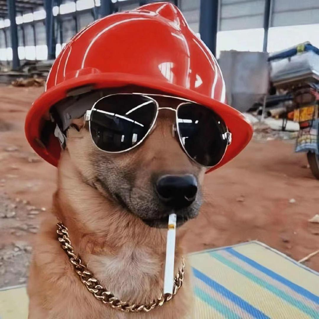 🌈🌈戏里戏外