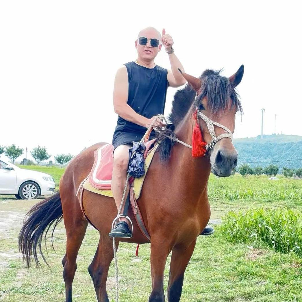 百家姓上第五名