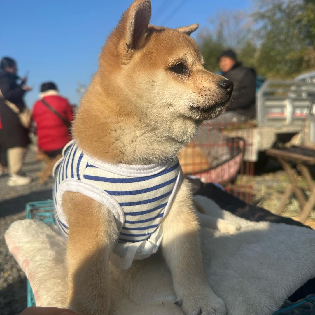 老表生活精选馆