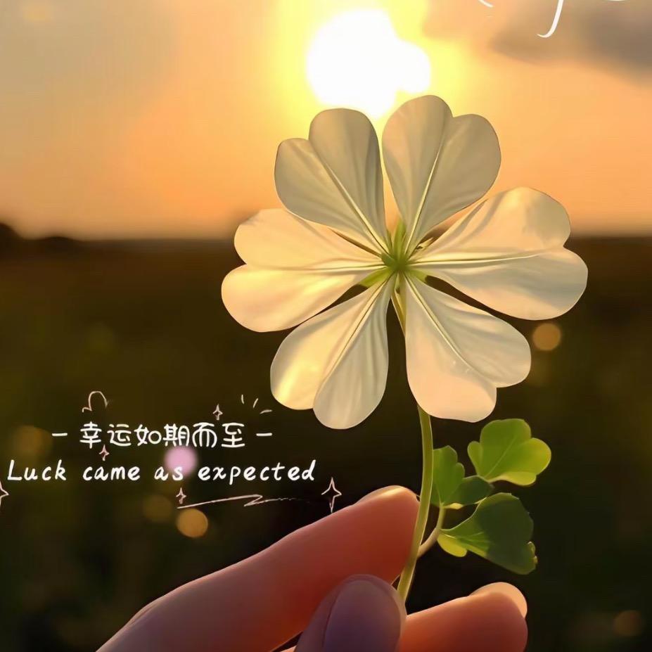 ☆人尔土土☆