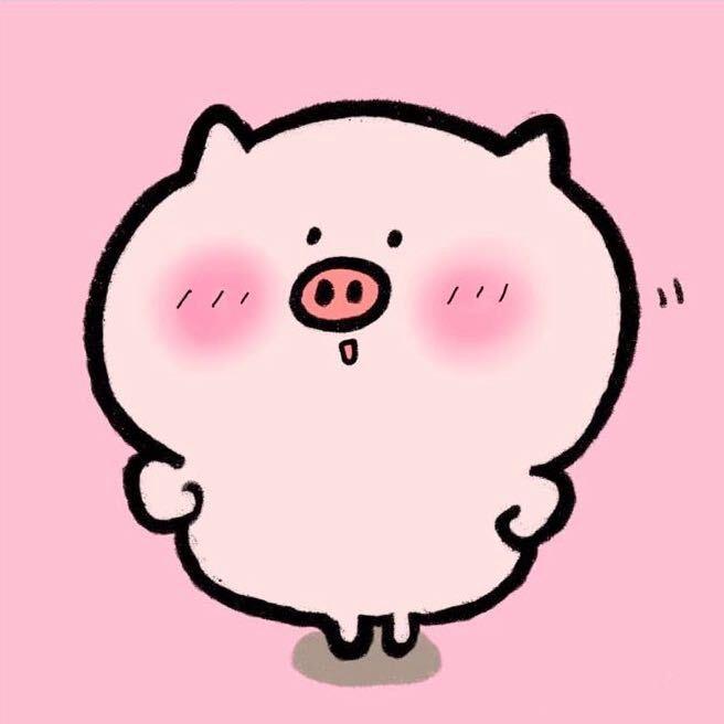 金猪猪🐽