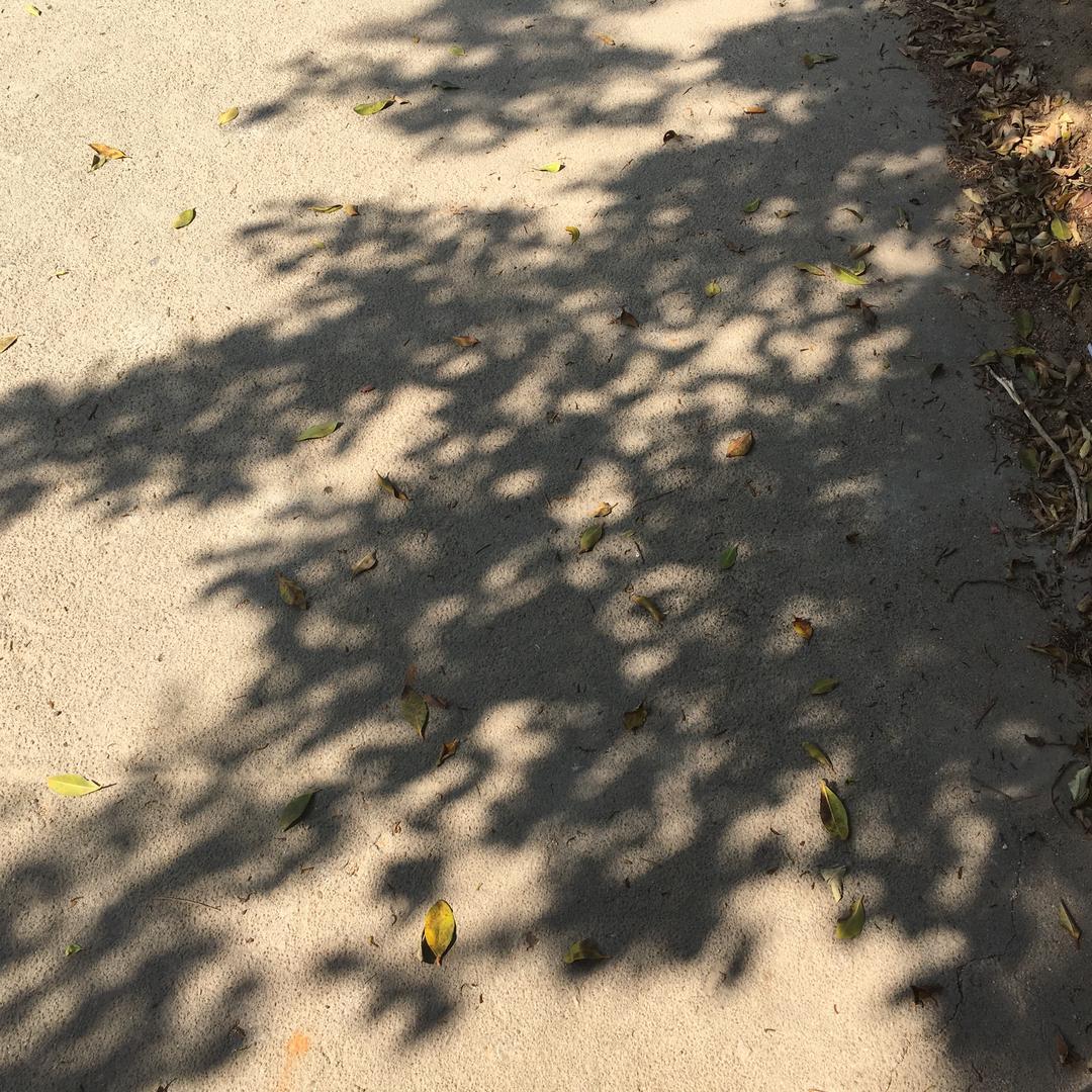 阿锋影视