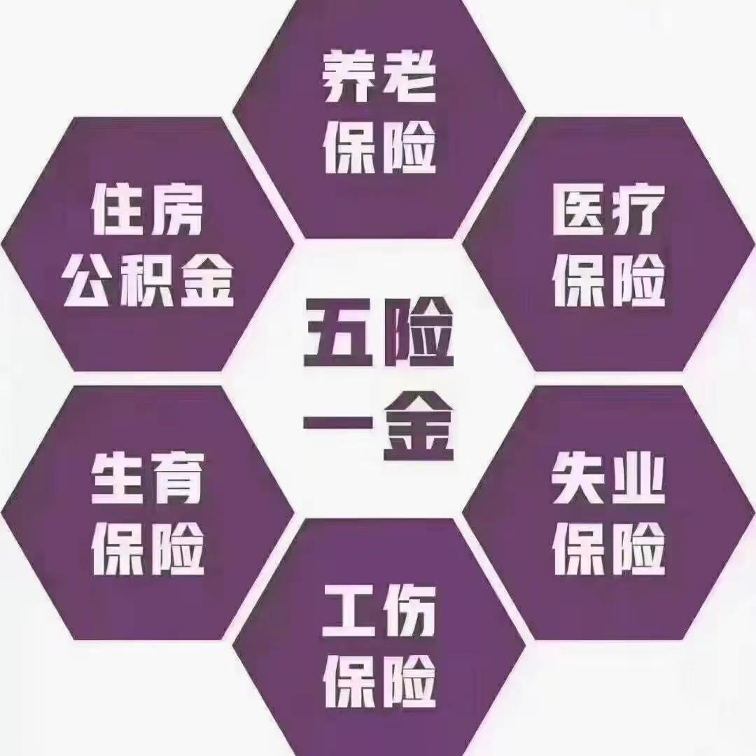 社保规划～七七
