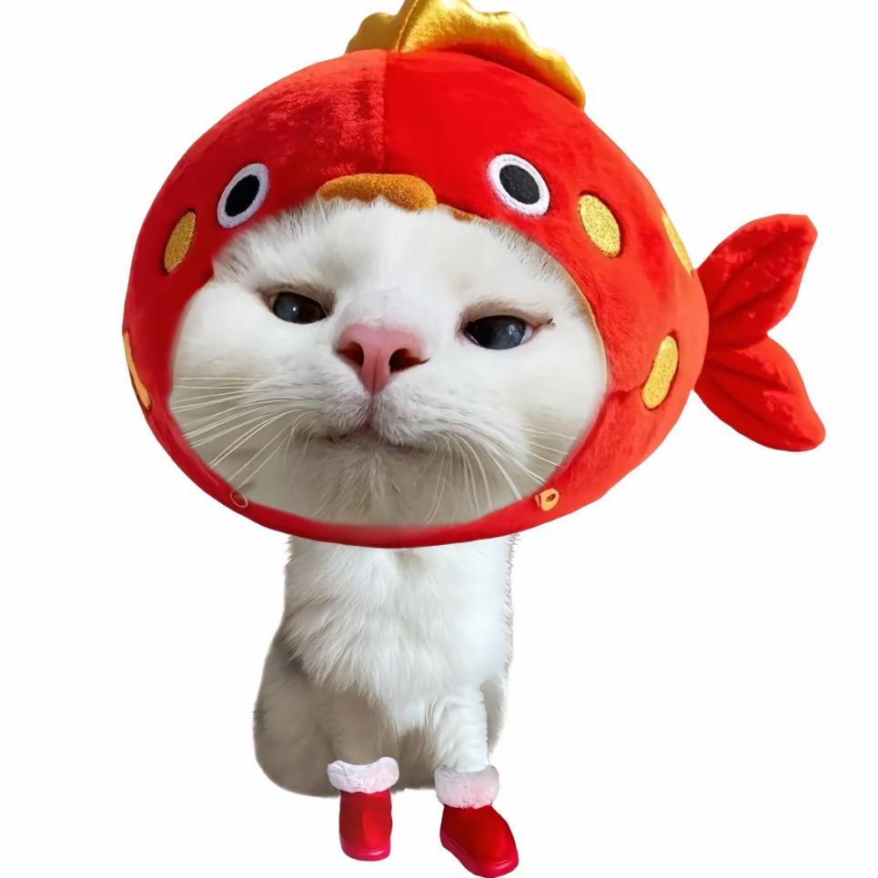 冷酷鲨鱼
