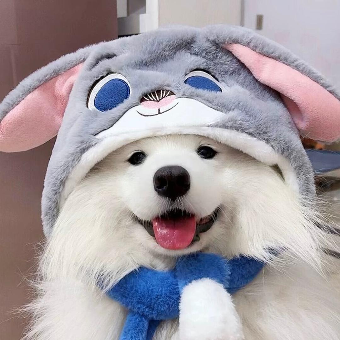 冰建