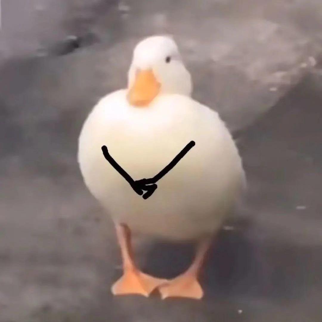 呆米