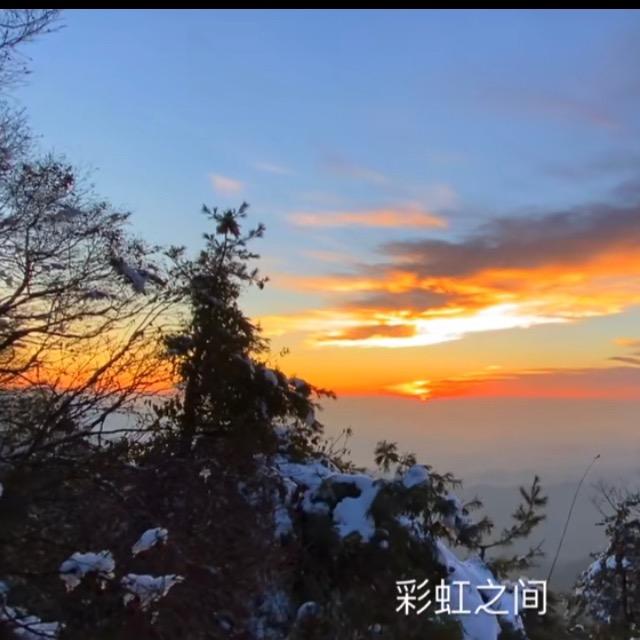 🌈蒲公英的禅床
