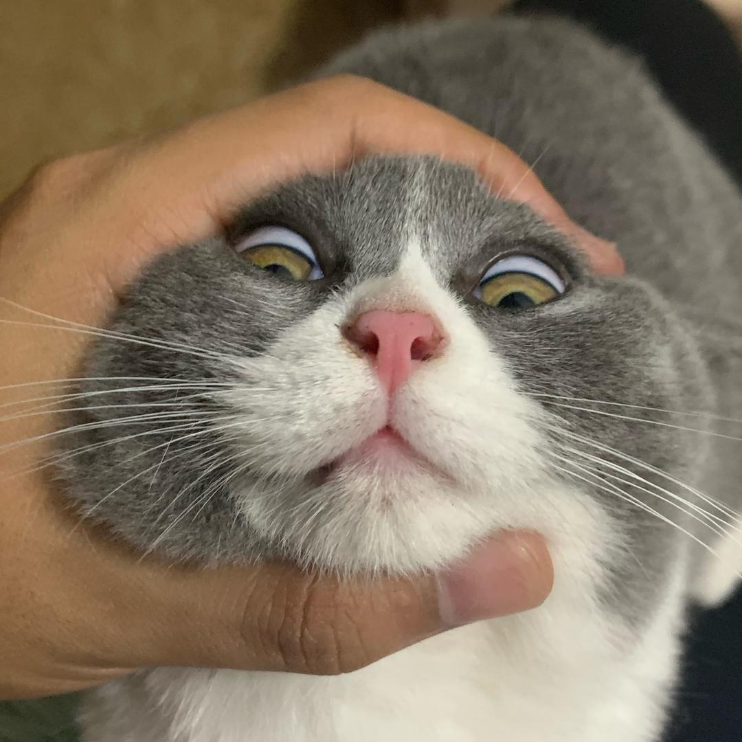 中二少年饶日天