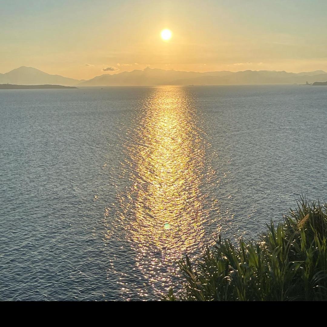 甜心三宝📚日记