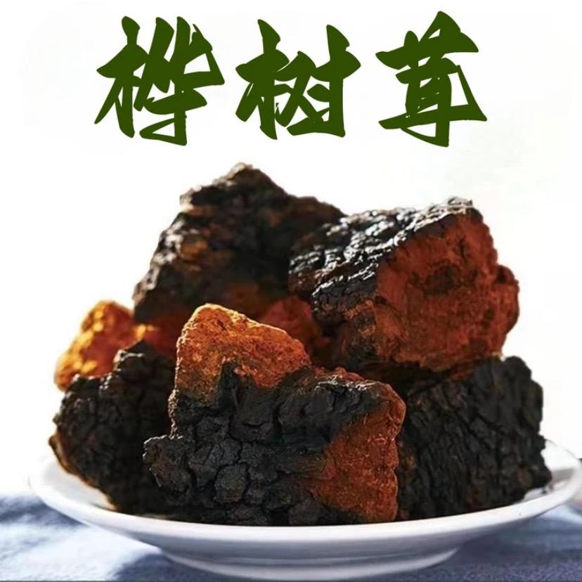 俄罗斯桦树茸🇷🇺