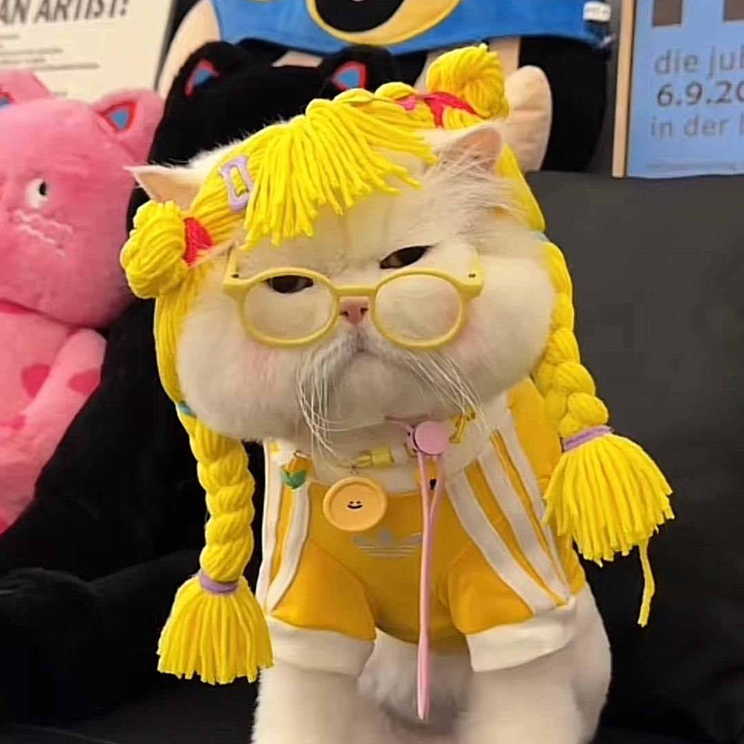 小唐爱吃糖
