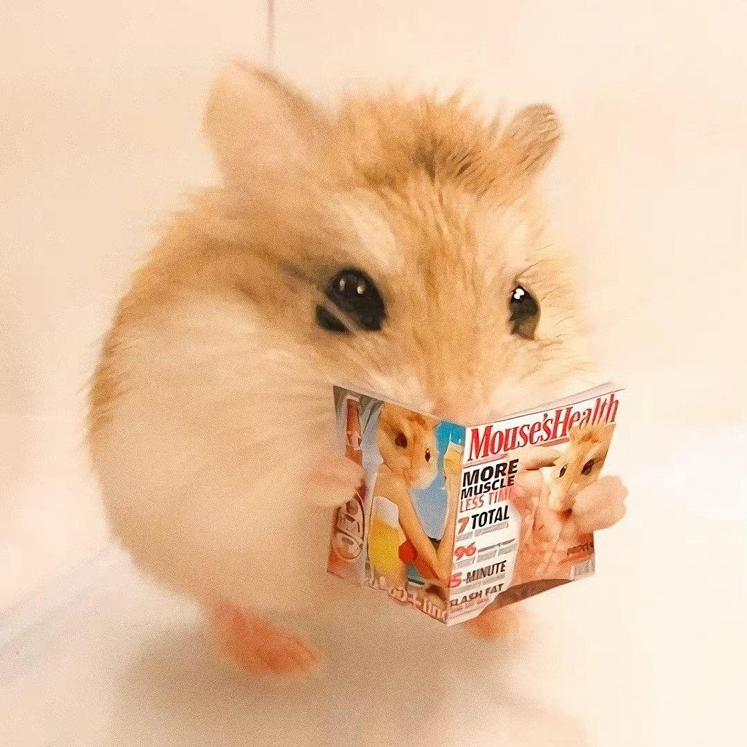 疯掉算了