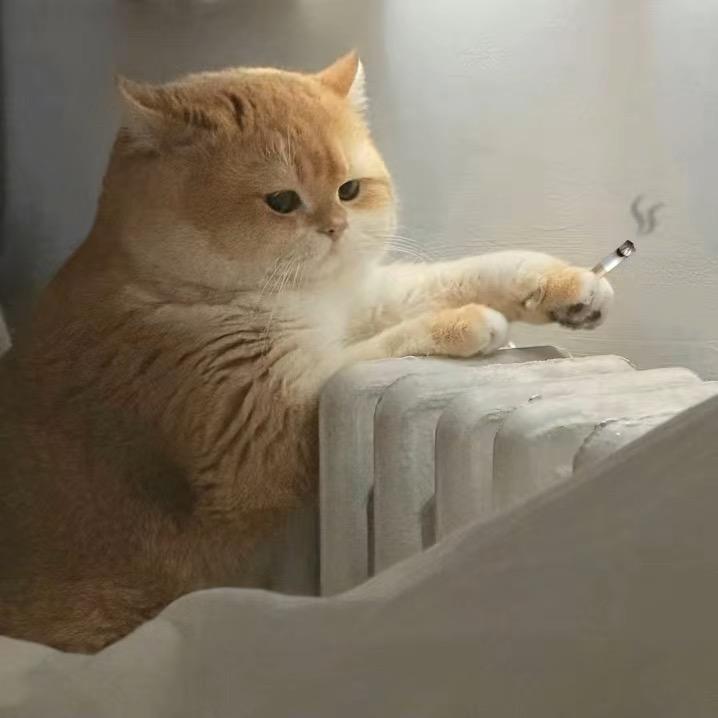 🎭 路人賈🪓 🥷