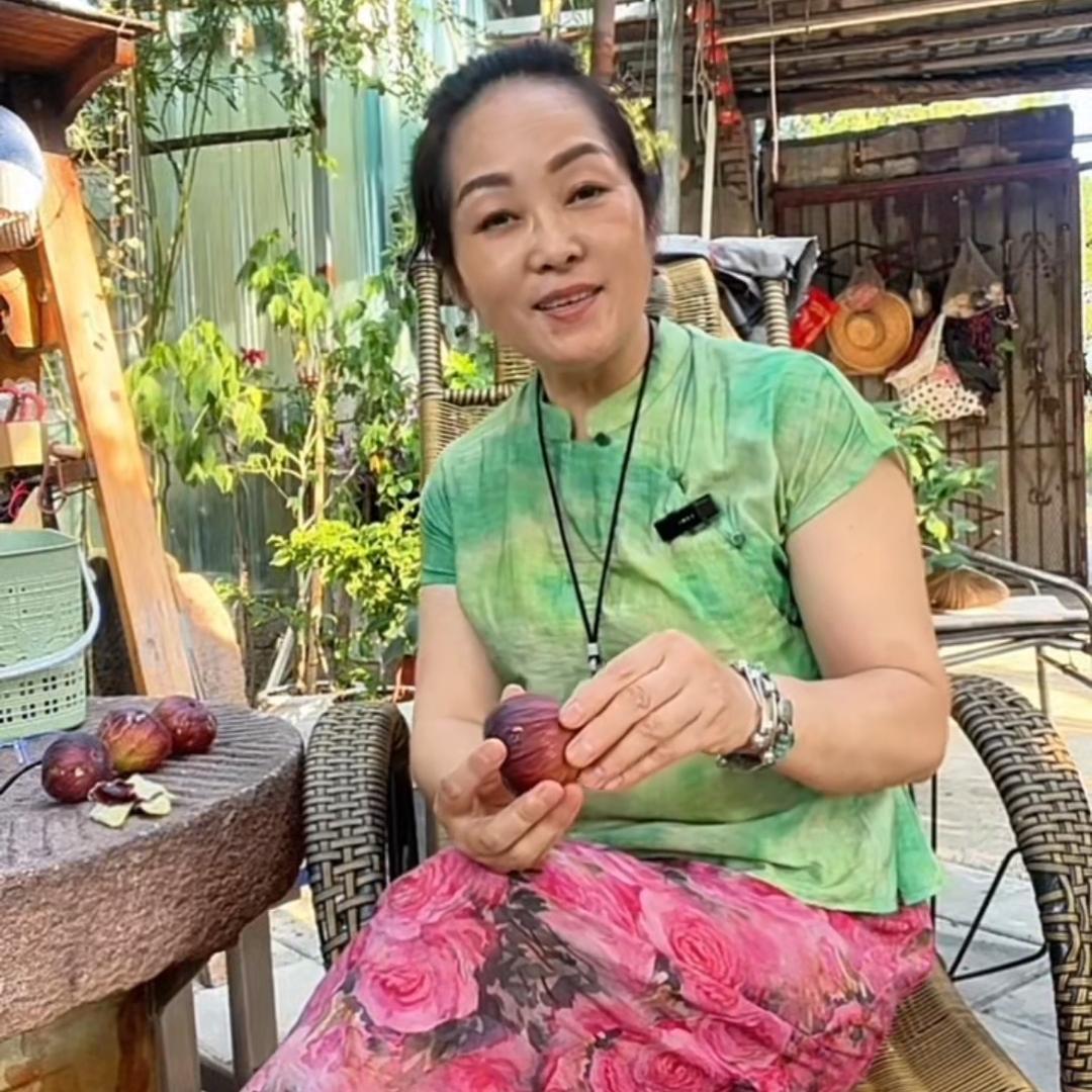 梅姐的小花园儿
