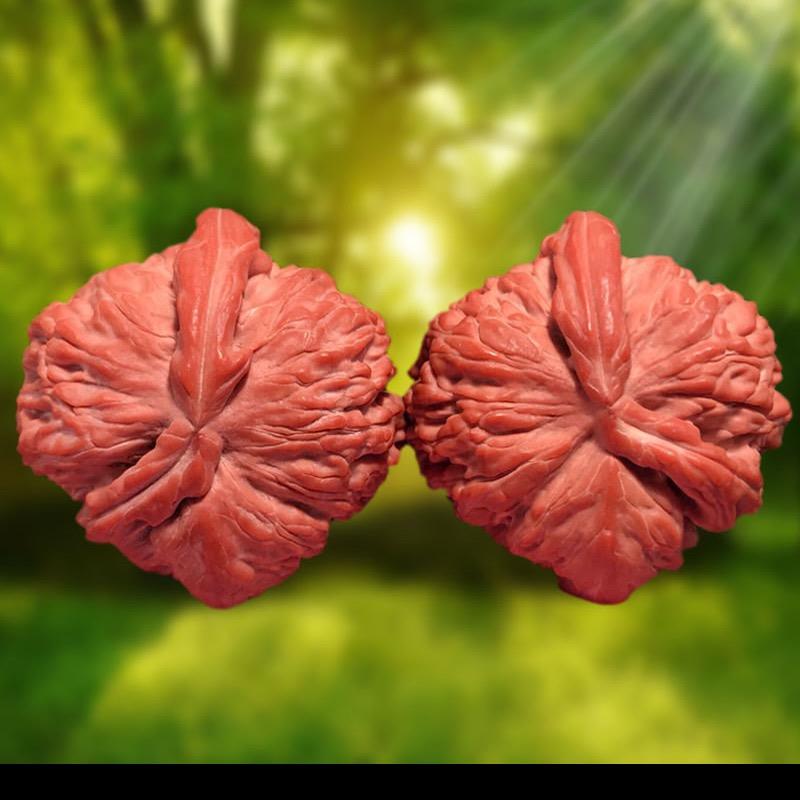 花核尚🙏