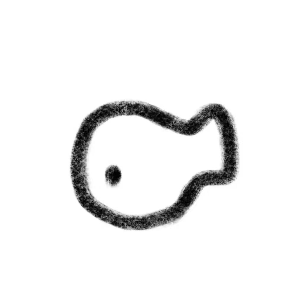 鲨鱼🦈