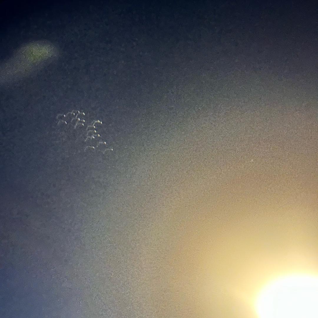 用户1115