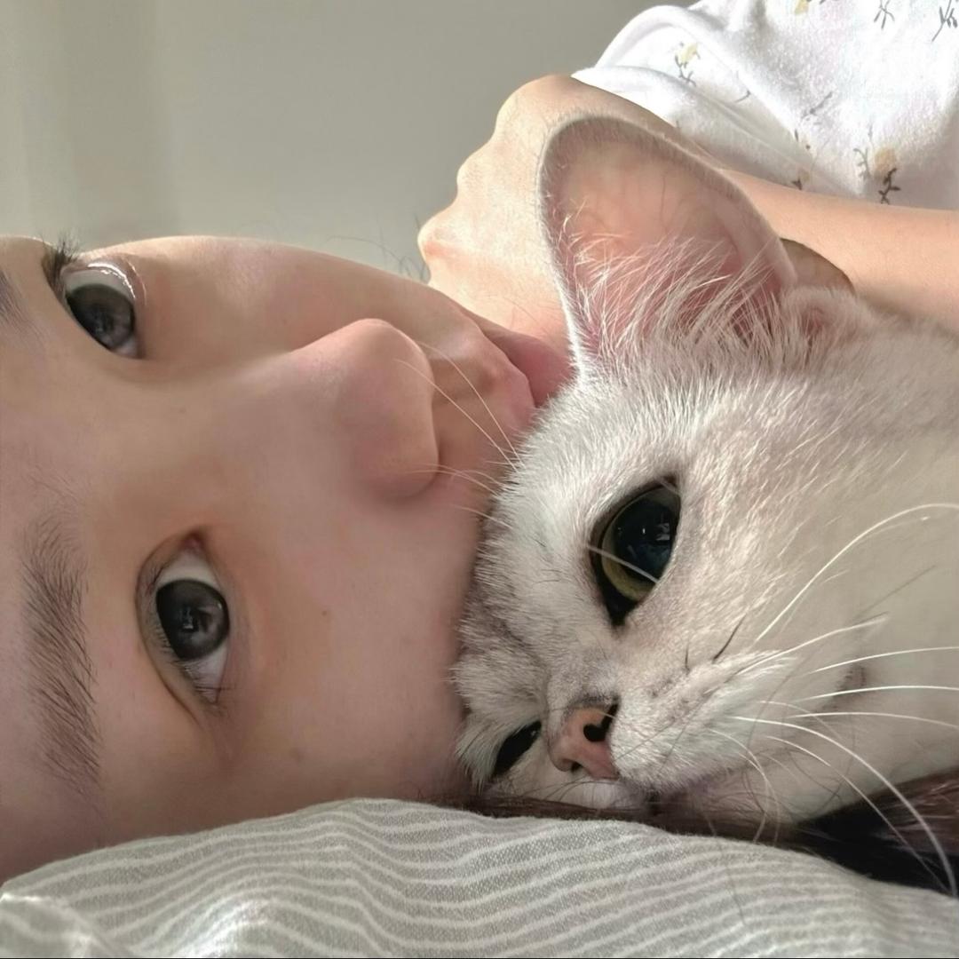 煎妮