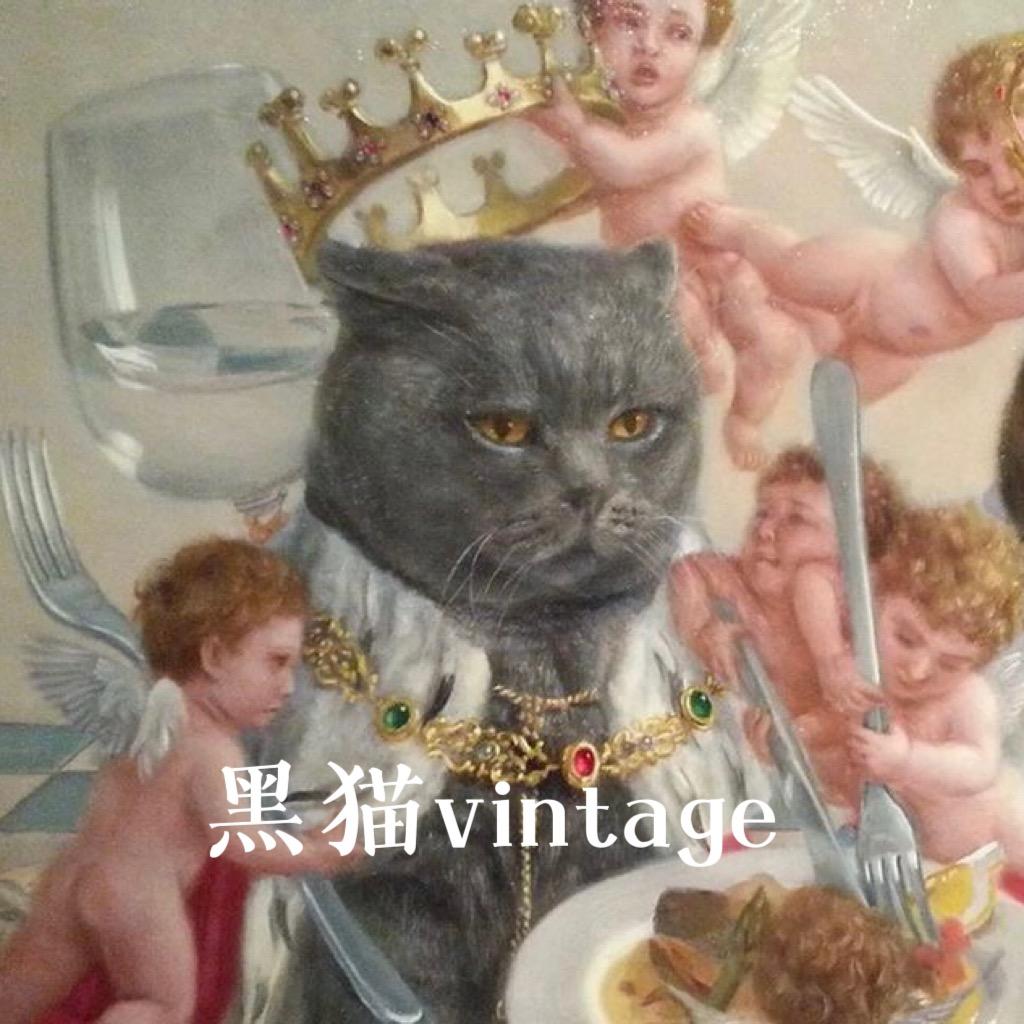 猫猫vintage（停播版 直播在新号）