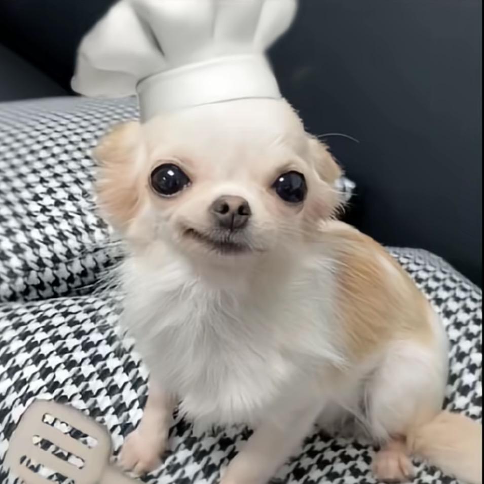 ^Luna^