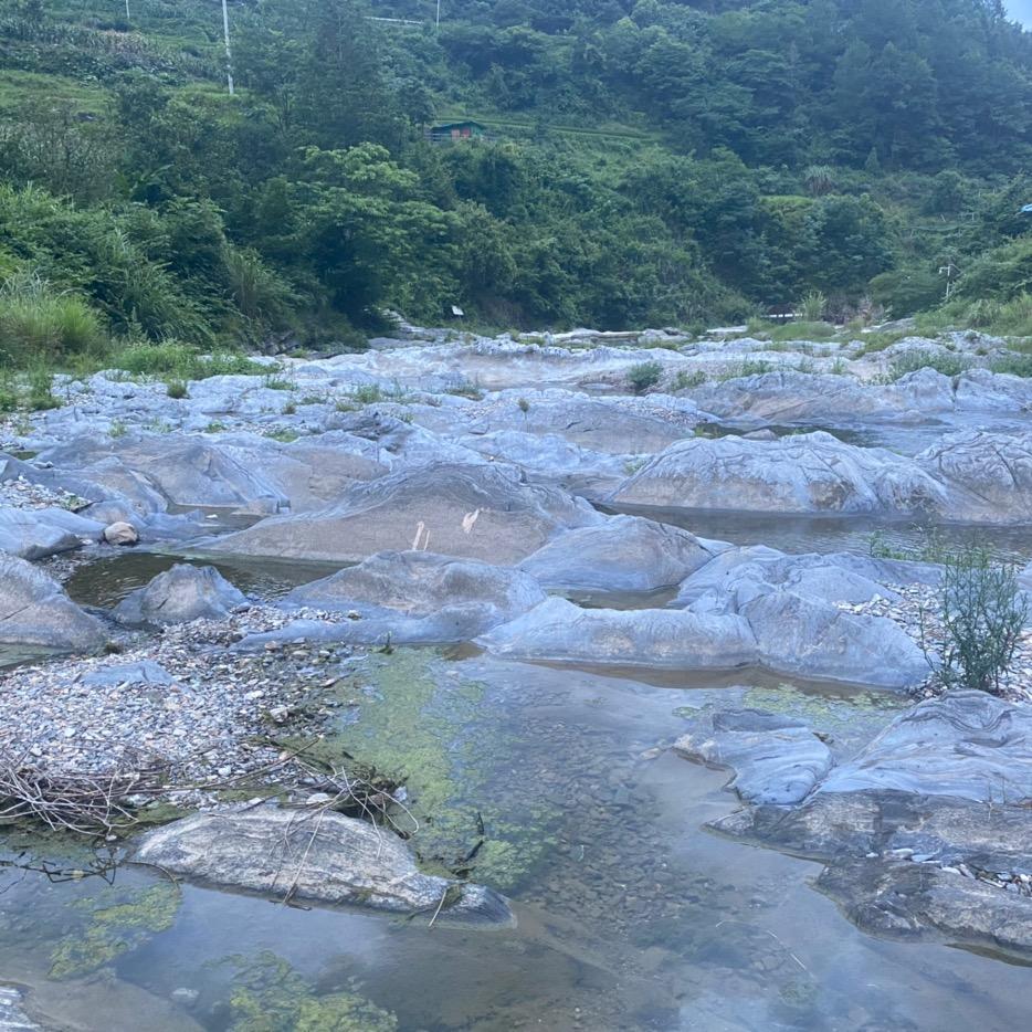 **哦鲁通卡