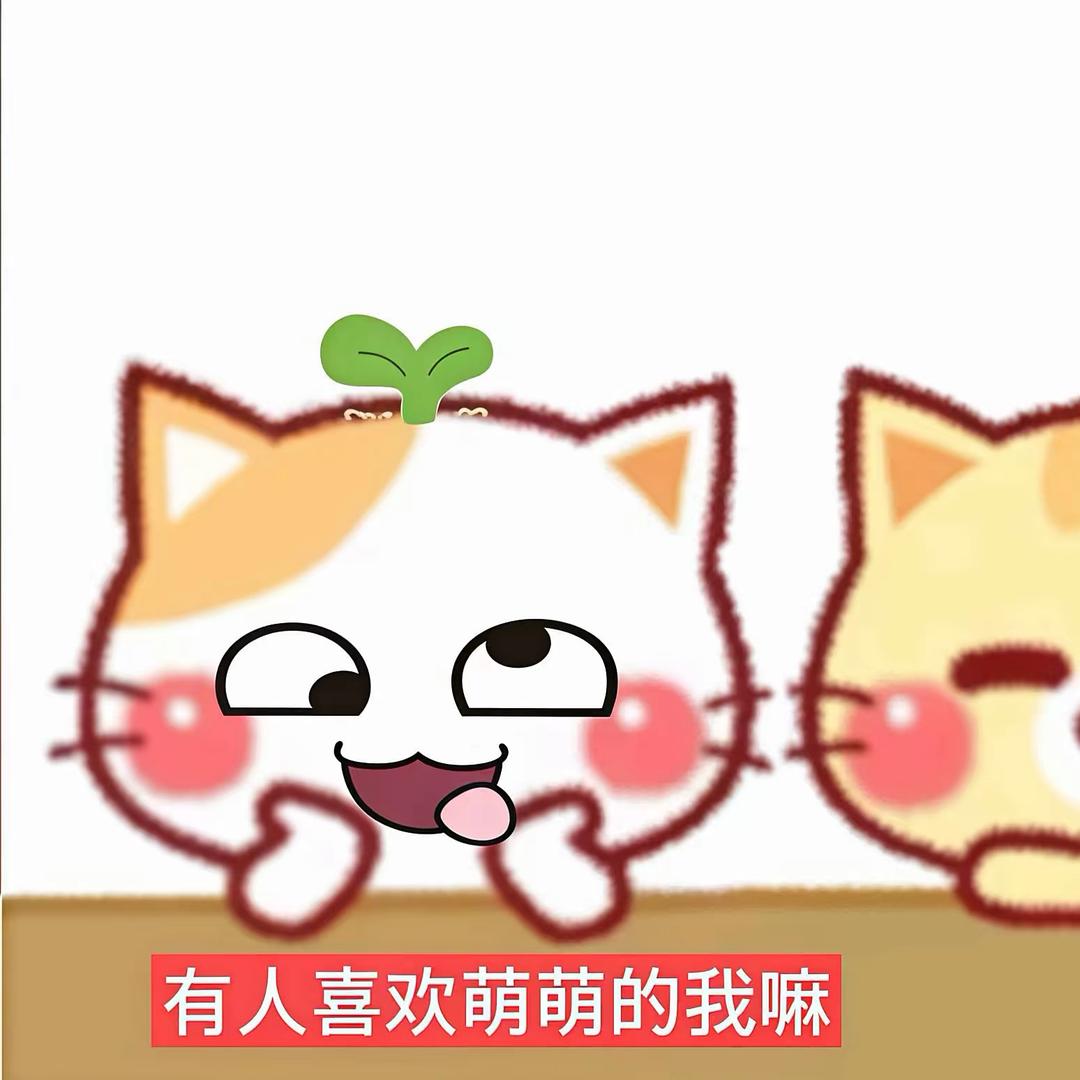 会飞的炸酱面