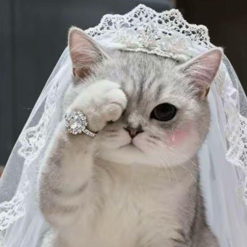 小田水晶珠宝店