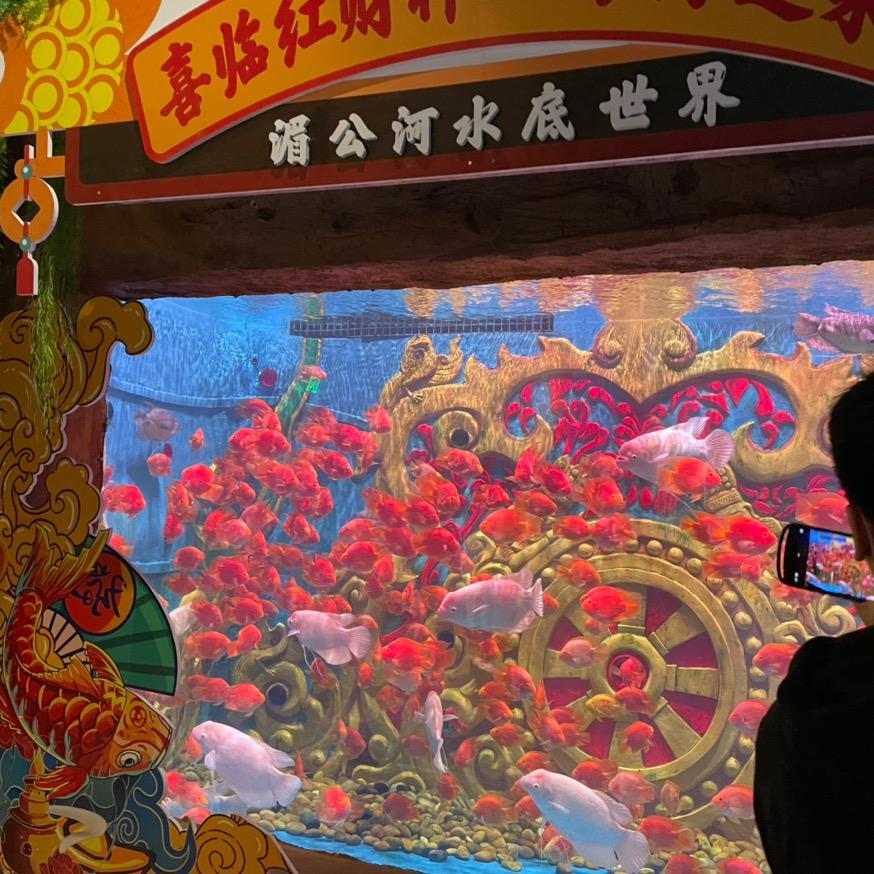 快乐平安