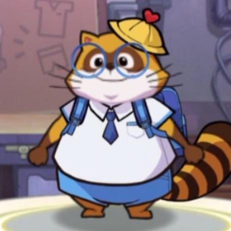 浣熊同学