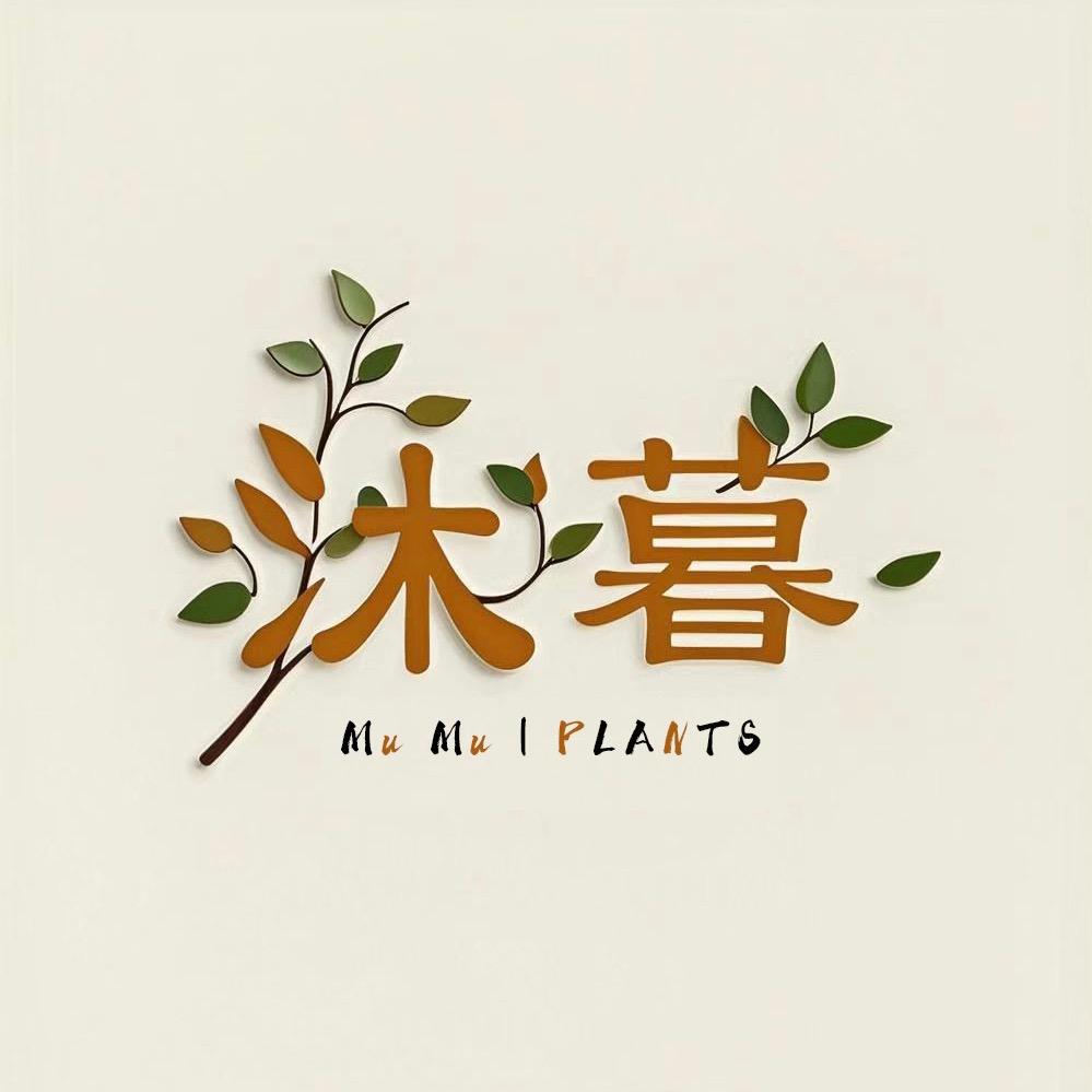 沐暮绿植