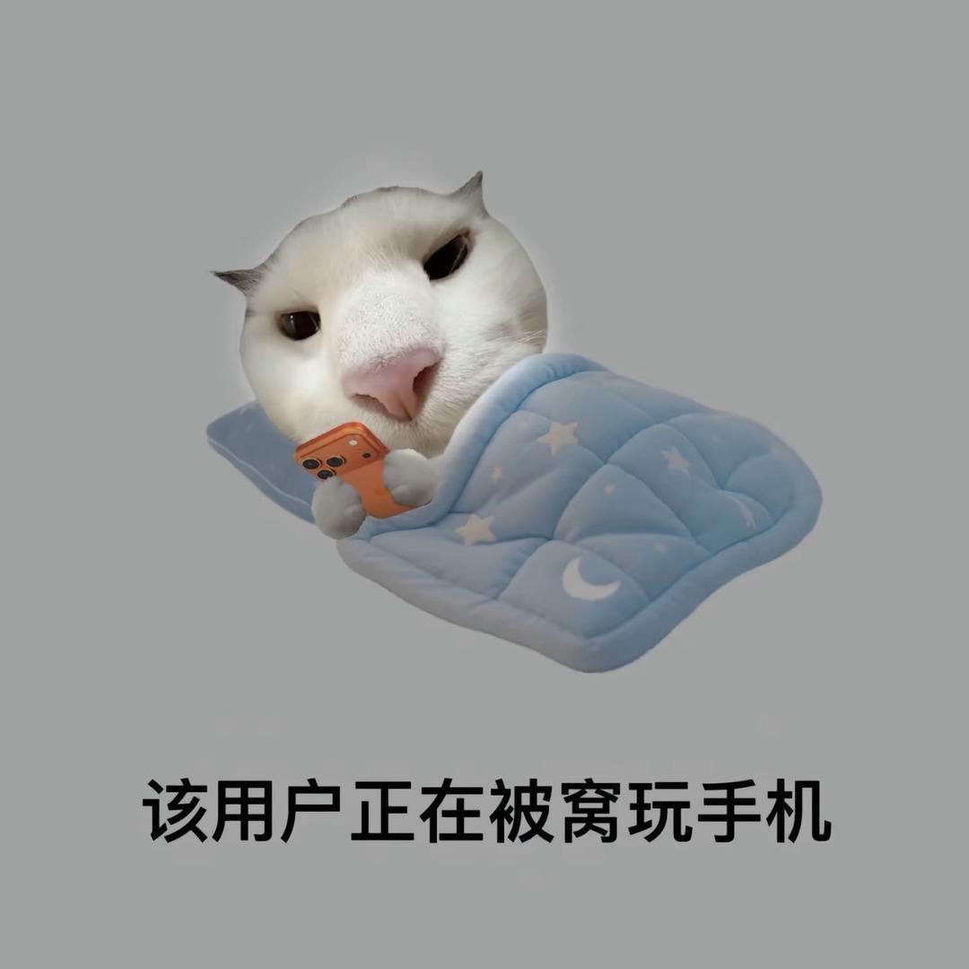 魈猫
