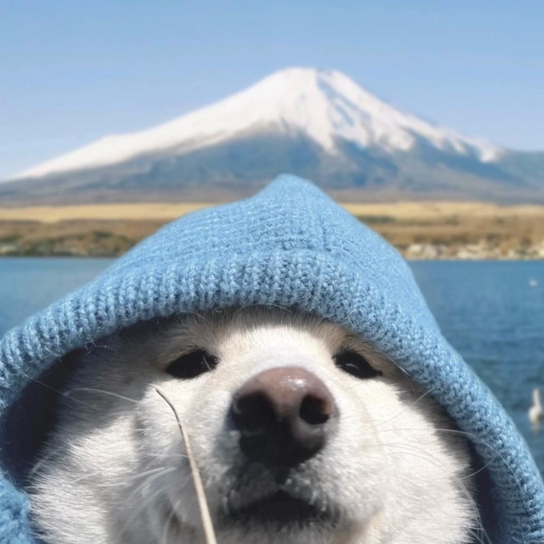 野火_