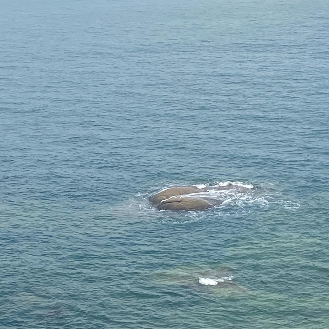 高中快速提分汤老师