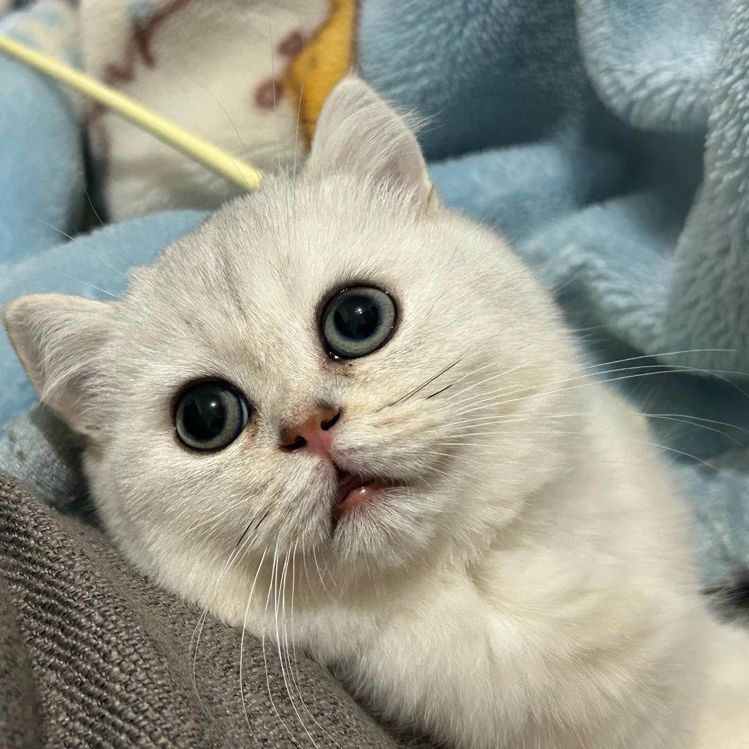 华住会品牌酒店推荐官~我睡一会